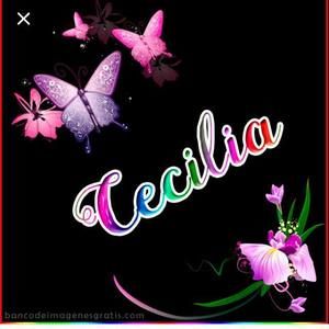 Meet your Posher, Cecilia